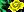 crest-ally-236.jpg