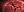 crest-ally-239.jpg